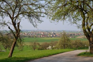 20090415_0116