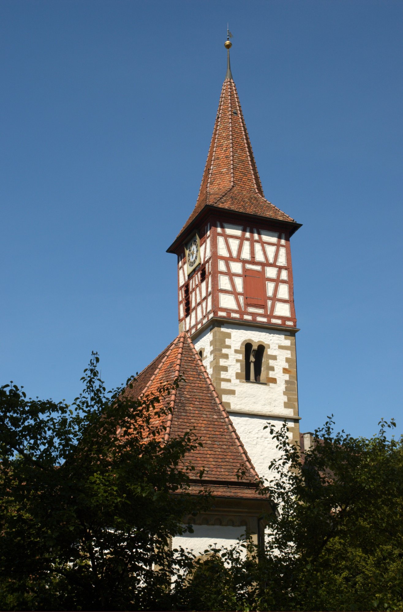 230 