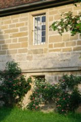 20090526_0014