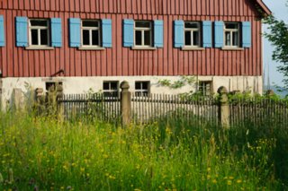 20090526_0079