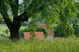 20090526_0086