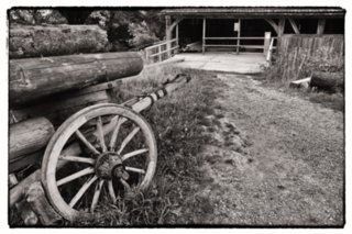 20090526_0061-bearb-bw