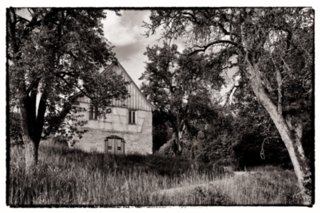 20090526_0084-bearb-bw