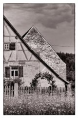 20090526_0097-bearb-bw