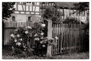 20090526_0112-bearb-bw