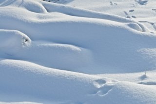 20110105_wackershofen_schnee_066