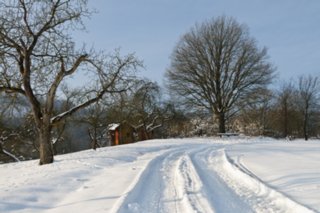 20110105_wackershofen_schnee_076