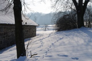 20110105_wackershofen_schnee_079