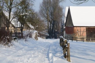 20110105_wackershofen_schnee_100