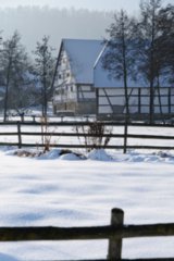 20110105_wackershofen_schnee_207