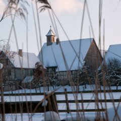 Winter_2011-01-03