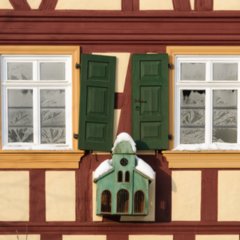 Winter_2011-01-05