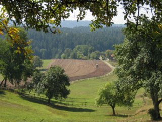 009_Presse_2004
