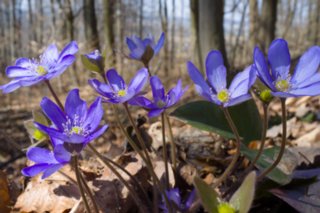 20120327_schenkenbecherrunde_025