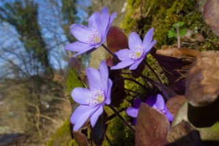 20120327_schenkenbecherrunde_070