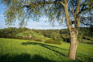 20120504_weinbergrunde_026