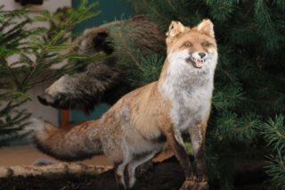 20120909_Forstausstellung_102