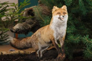 20120909_Forstausstellung_104