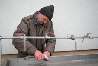 20130327_fischputzen_002