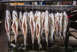 20130328_fischraeuchern_002