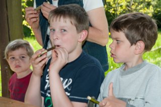 20150508_workshop_weidenpfeifchen_010