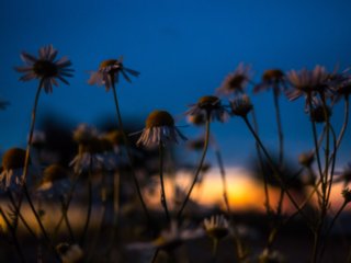 P6260070
