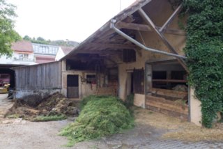 20130730_blaustein_001