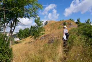 20130730_loewenfels_003