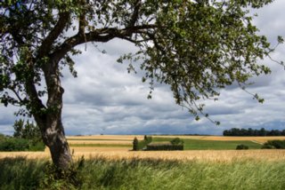 20130731_rusenschloss_022