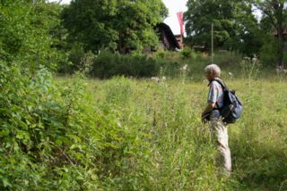 20130803_Kleines_Lautertal_007
