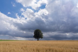 20130810_geislingen_092-bearb