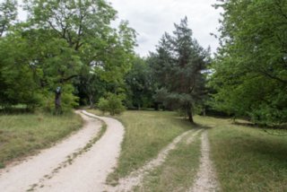 20130812_blaubeuren_061