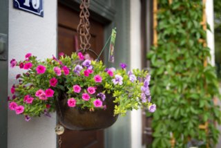 20130813_ulm_104