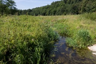 20130815_lohnetal_033