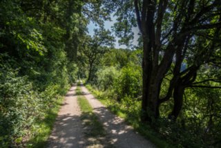 20130815_lohnetal_037