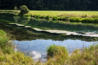 20130817_eselsburgertal_012