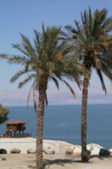 is00_292-topaz-enhance