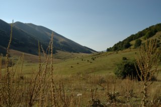 2005-08-27_08-57-02_1
