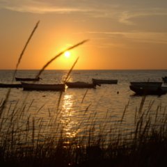 Meer