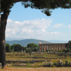 Paestum