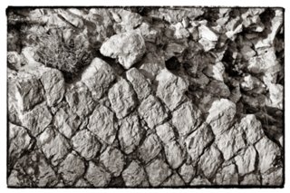 20100826_italien_jupitertempel_064-bearb-bw