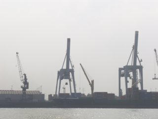 os_029