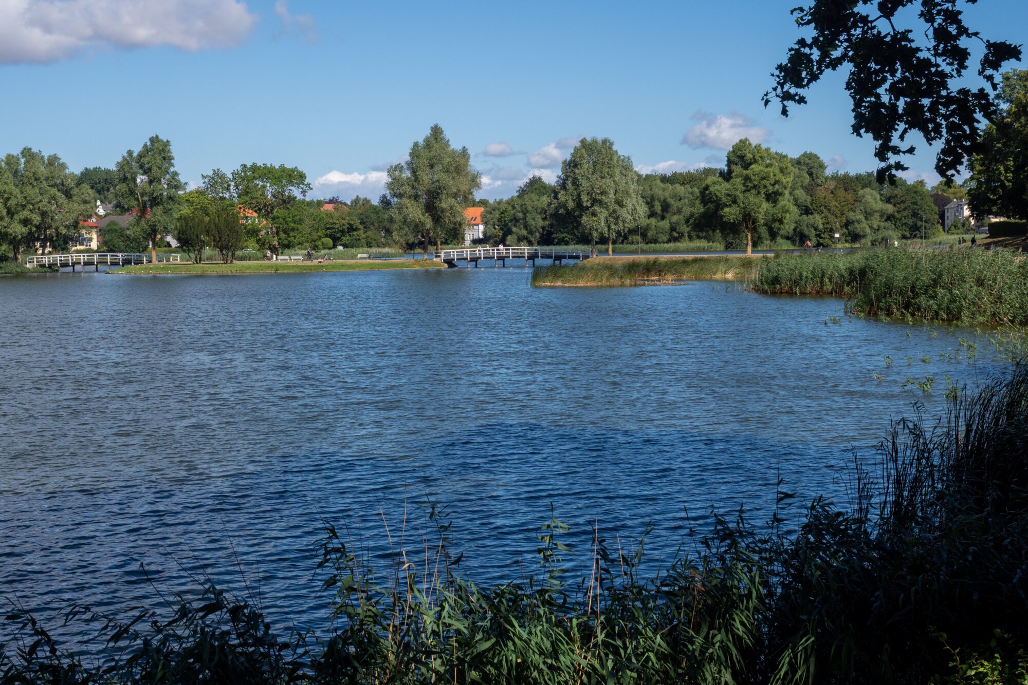 20220806_unbenannt_591 