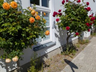 20220810_unbenannt_388