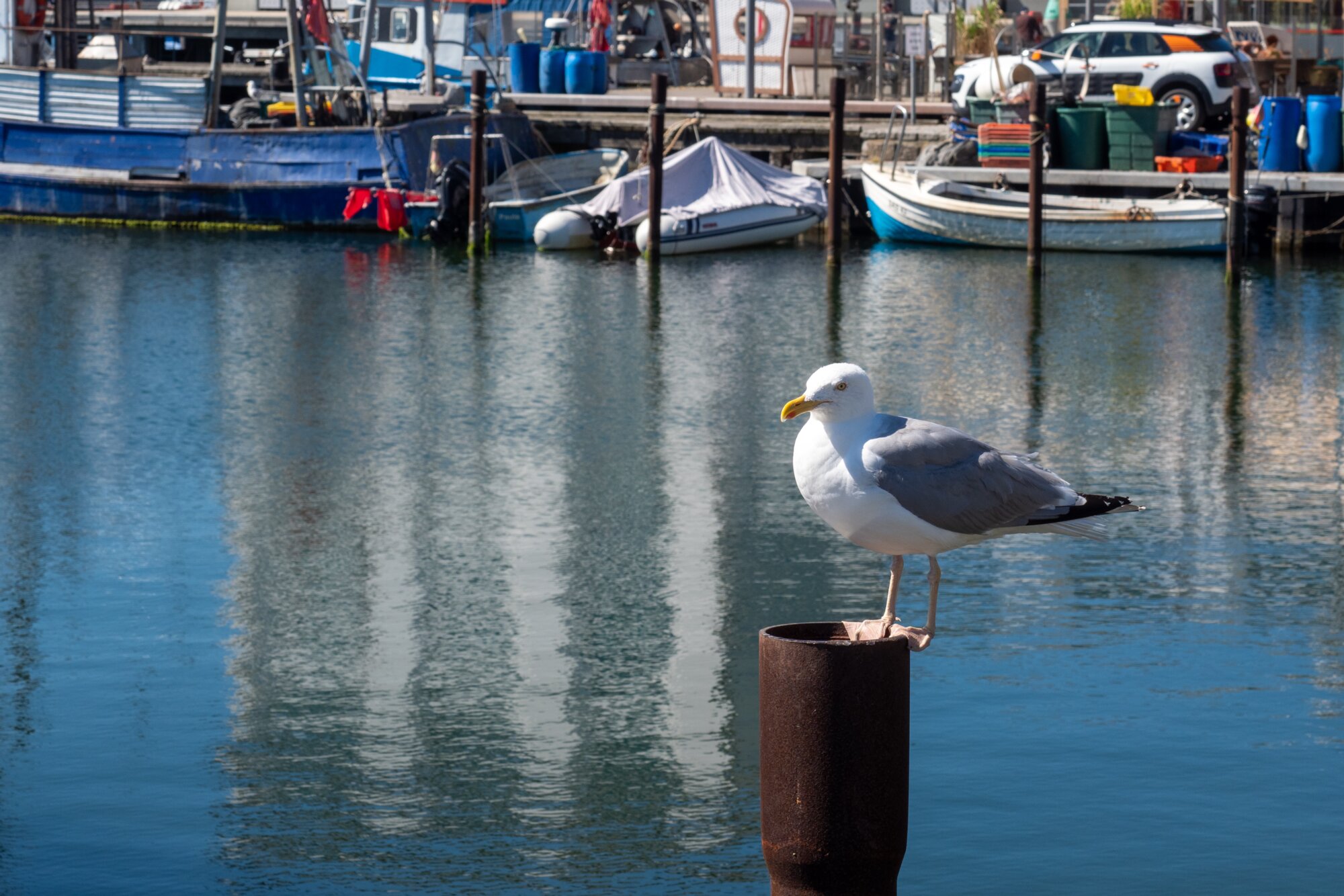 20220811_unbenannt_560 