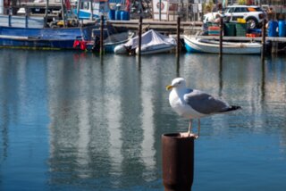 20220811_unbenannt_560