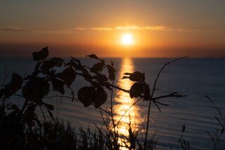 20220730_unbenannt_395