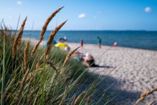 P1013140-Verbessert-RR