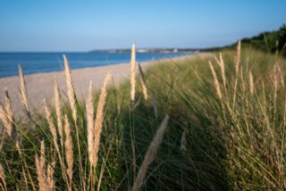 P1013163-Verbessert-RR