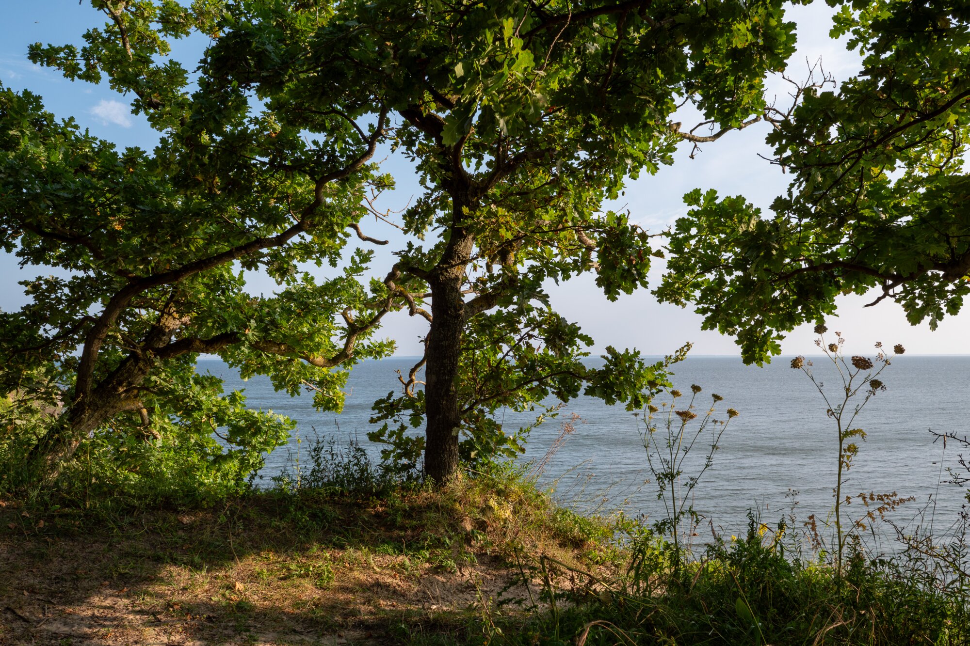 P1013229-Verbessert-RR 